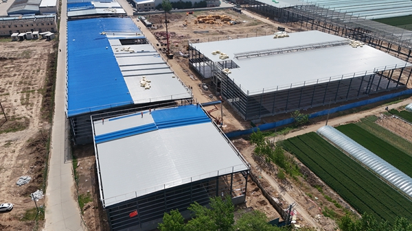 鋼結構網架廠家